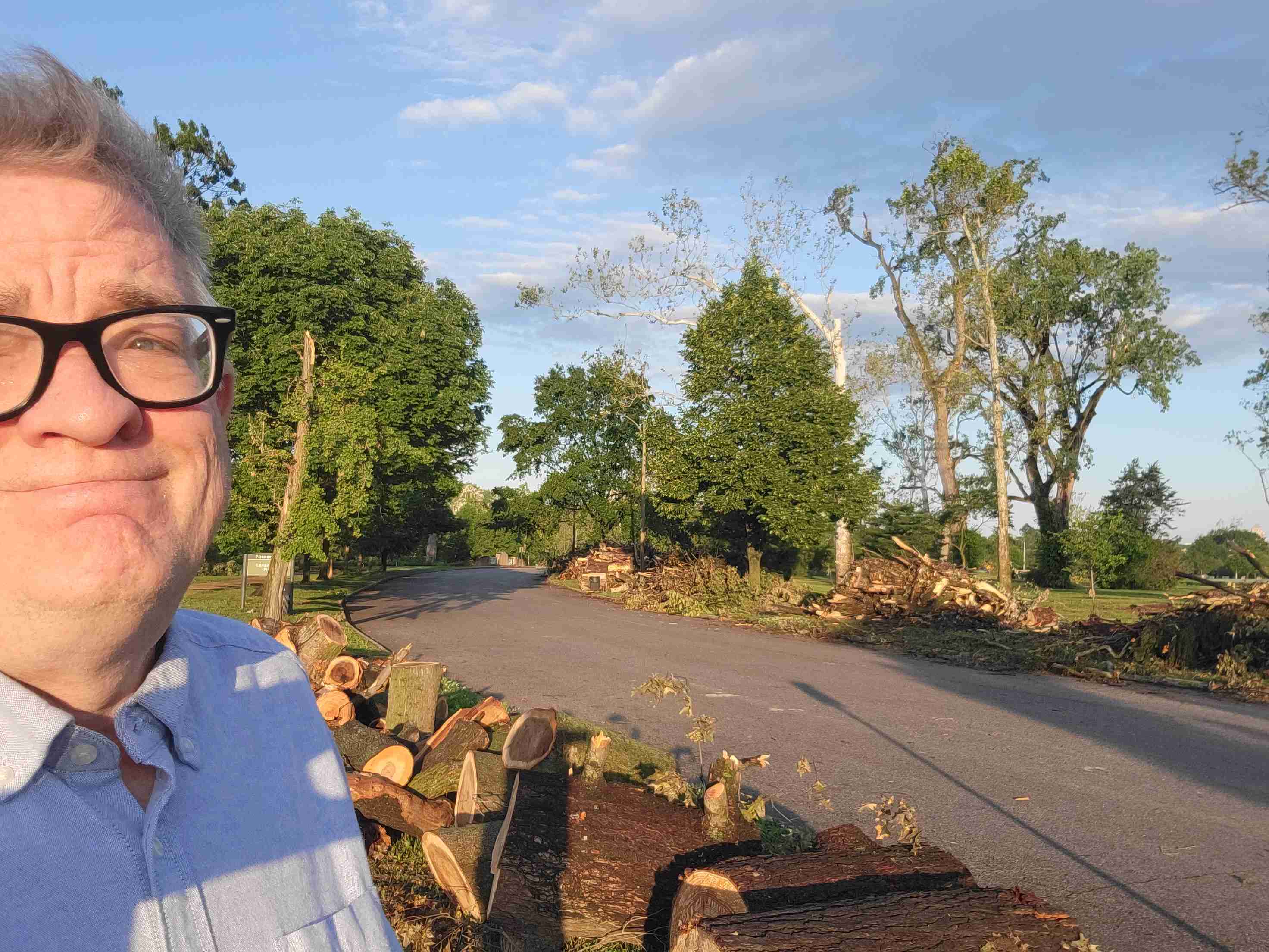 2025-05-30 Shakespere cut trees.jpg